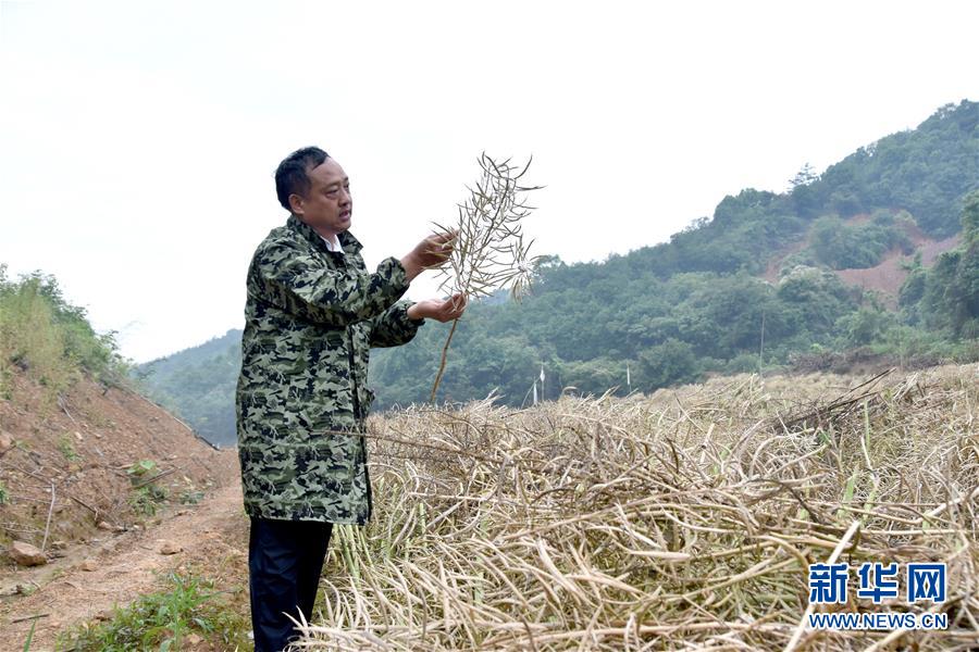 （代表委員履職·圖文互動）（1）“我是農(nóng)民代表，始終關(guān)注農(nóng)村”——全國人大代表沈昌健的履職故事