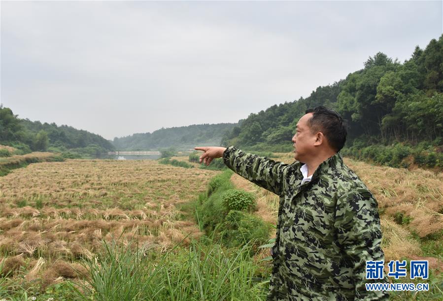 （代表委員履職·圖文互動）（2）“我是農(nóng)民代表，始終關(guān)注農(nóng)村”——全國人大代表沈昌健的履職故事