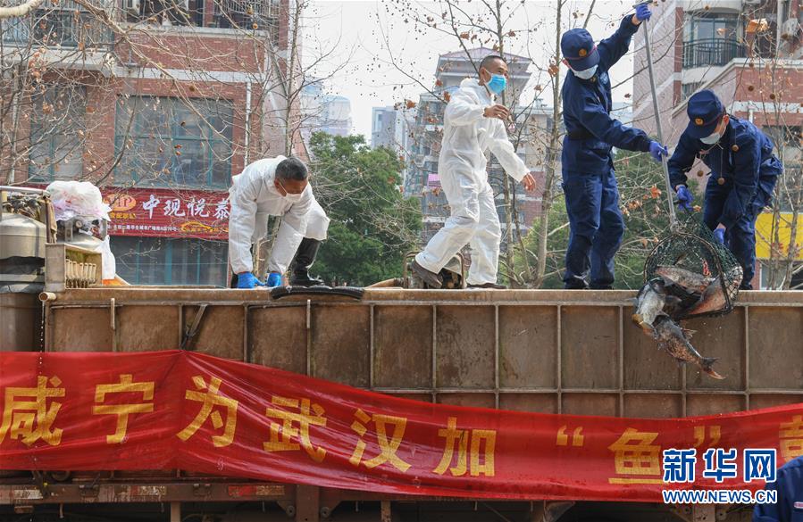 （新華全媒頭條·圖文互動(dòng)）（12）從人民中汲取磅礴力量——習(xí)近平總書(shū)記同出席2020年全國(guó)兩會(huì)人大代表、政協(xié)委員共商國(guó)是紀(jì)實(shí)