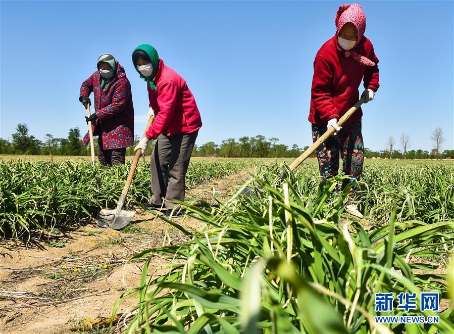 （新華全媒頭條·圖文互動(dòng)）（17）從人民中汲取磅礴力量——習(xí)近平總書(shū)記同出席2020年全國(guó)兩會(huì)人大代表、政協(xié)委員共商國(guó)是紀(jì)實(shí)