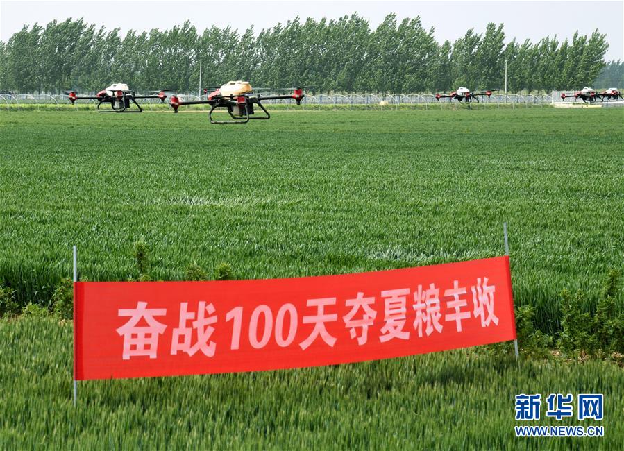 （在習(xí)近平新時(shí)代中國(guó)特色社會(huì)主義思想指引下——新時(shí)代新作為新篇章·習(xí)近平總書記關(guān)切事·圖文互動(dòng)）（9）新農(nóng)事、新希望——夏收前田間新動(dòng)態(tài)掃描