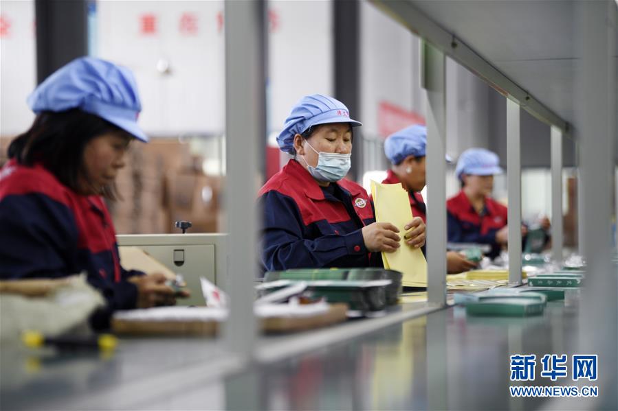 （在習(xí)近平新時代中國特色社會主義思想指引下——新時代新作為新篇章·習(xí)近平總書記關(guān)切事·圖文互動）（1）“綠色銀行”發(fā)工資、“股東”分紅來敲門……——探索長效脫貧致富新機(jī)制見聞