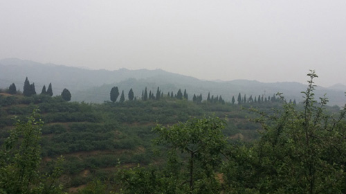 李保國(guó)教授幫扶基地崗底村的蘋(píng)果園