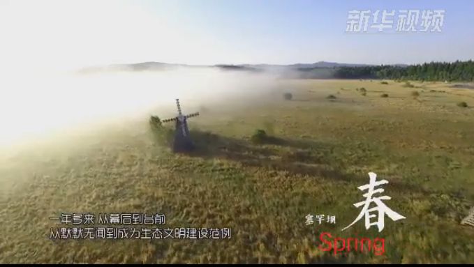 塞罕壩：那一抹綠色，走進越來越多人心里