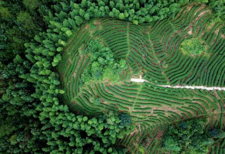 福建龍巖：高效用地，提升生態(tài)環(huán)境水平