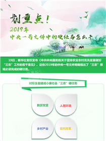 劃重點(diǎn)！2019年中央一號(hào)文件中的硬任務(wù)怎么干
