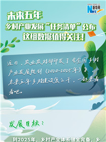 未來五年鄉(xiāng)村產業(yè)發(fā)展“任務清單”公布 這組數(shù)據(jù)值得關注！