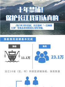 十年禁捕！保護(hù)長(zhǎng)江我們認(rèn)真的