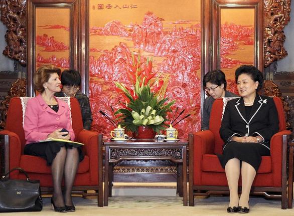 劉延?xùn)|會(huì)見歐盟委員會(huì)教育、文化、語言多樣性及青年事務(wù)委員瓦西利烏