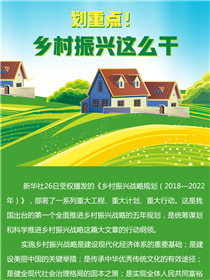 劃重點(diǎn)！鄉(xiāng)村振興這么干