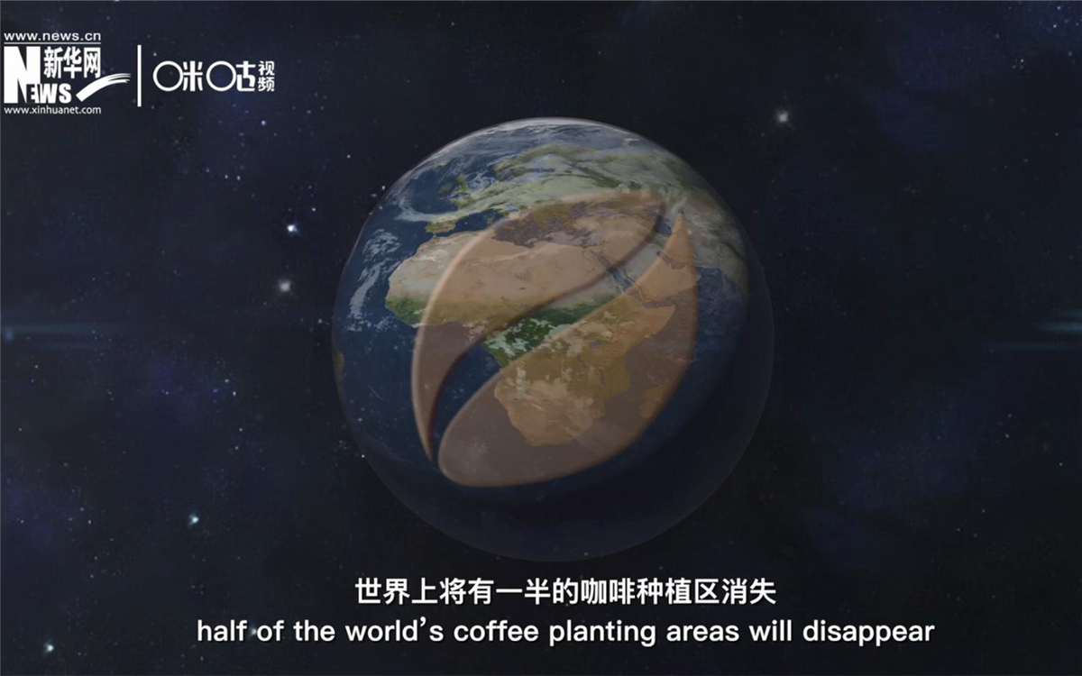 科學(xué)家預(yù)測(cè)到三十年后，世界上將有一半的咖啡種植區(qū)消失