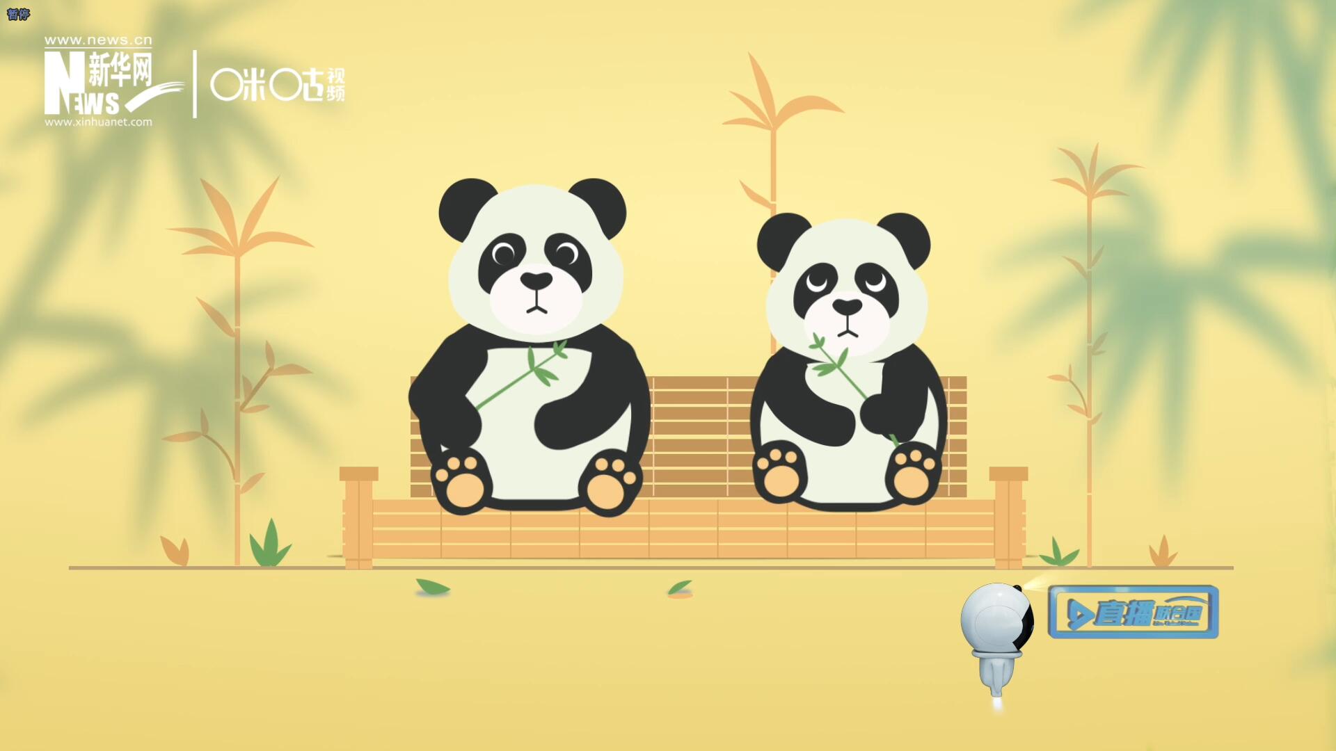 “哥哥你看，又有人來看我們了。”“有什么奇怪的，我們可是聯(lián)合國(guó)‘最萌’的大使啊！”。