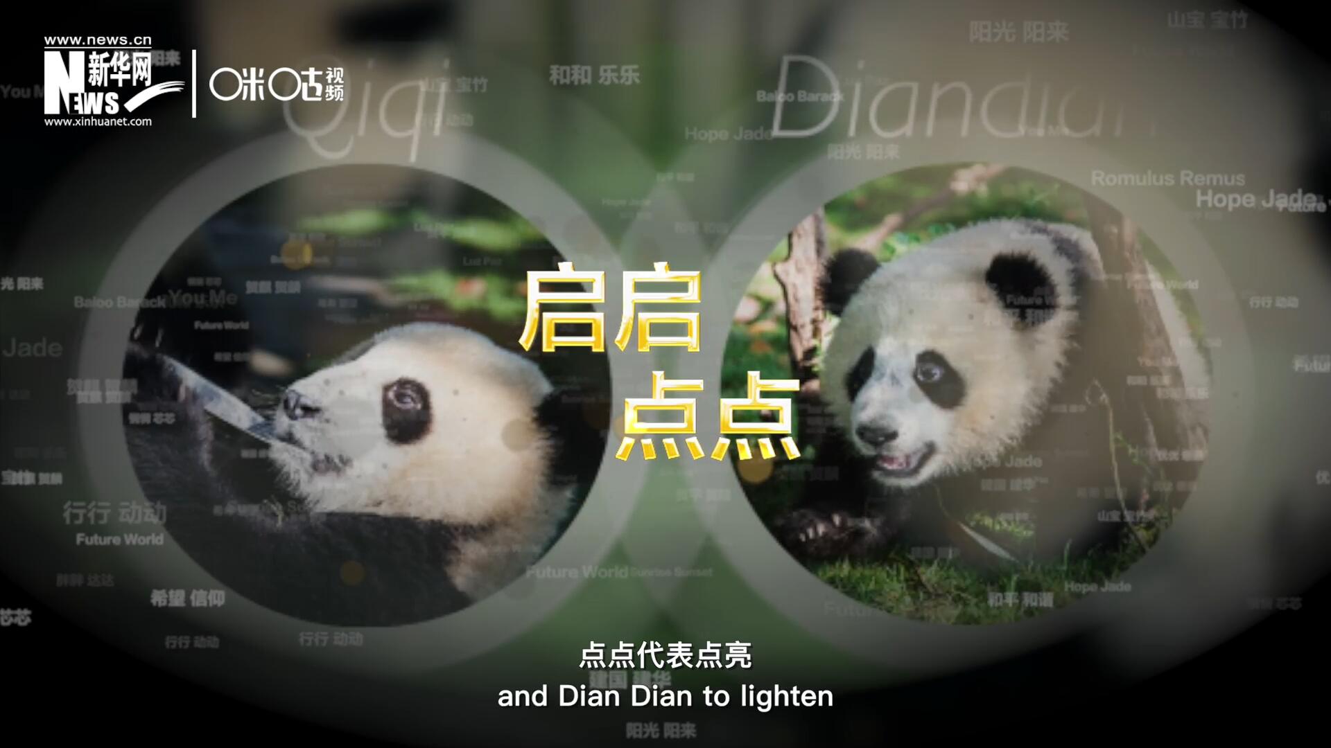 啟啟代表“啟發(fā)”，點(diǎn)點(diǎn)代表“點(diǎn)亮”，象征著2030年可持續(xù)發(fā)展議程 的“起點(diǎn)”，也象征著全球可持續(xù)發(fā)展路徑的新起點(diǎn)。