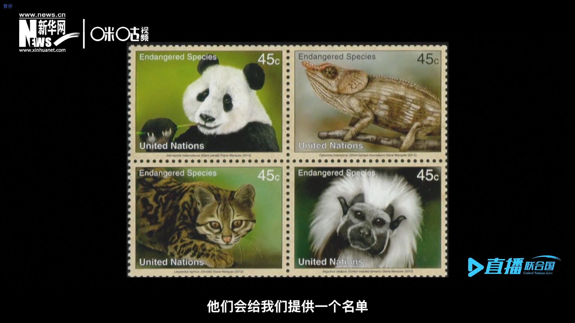 CITES（瀕危野生動植物種國際貿(mào)易公約）會給聯(lián)合國郵政設計師提供一個名單，雙方共同合作在附錄中找到名單中應該受到關注的動物。