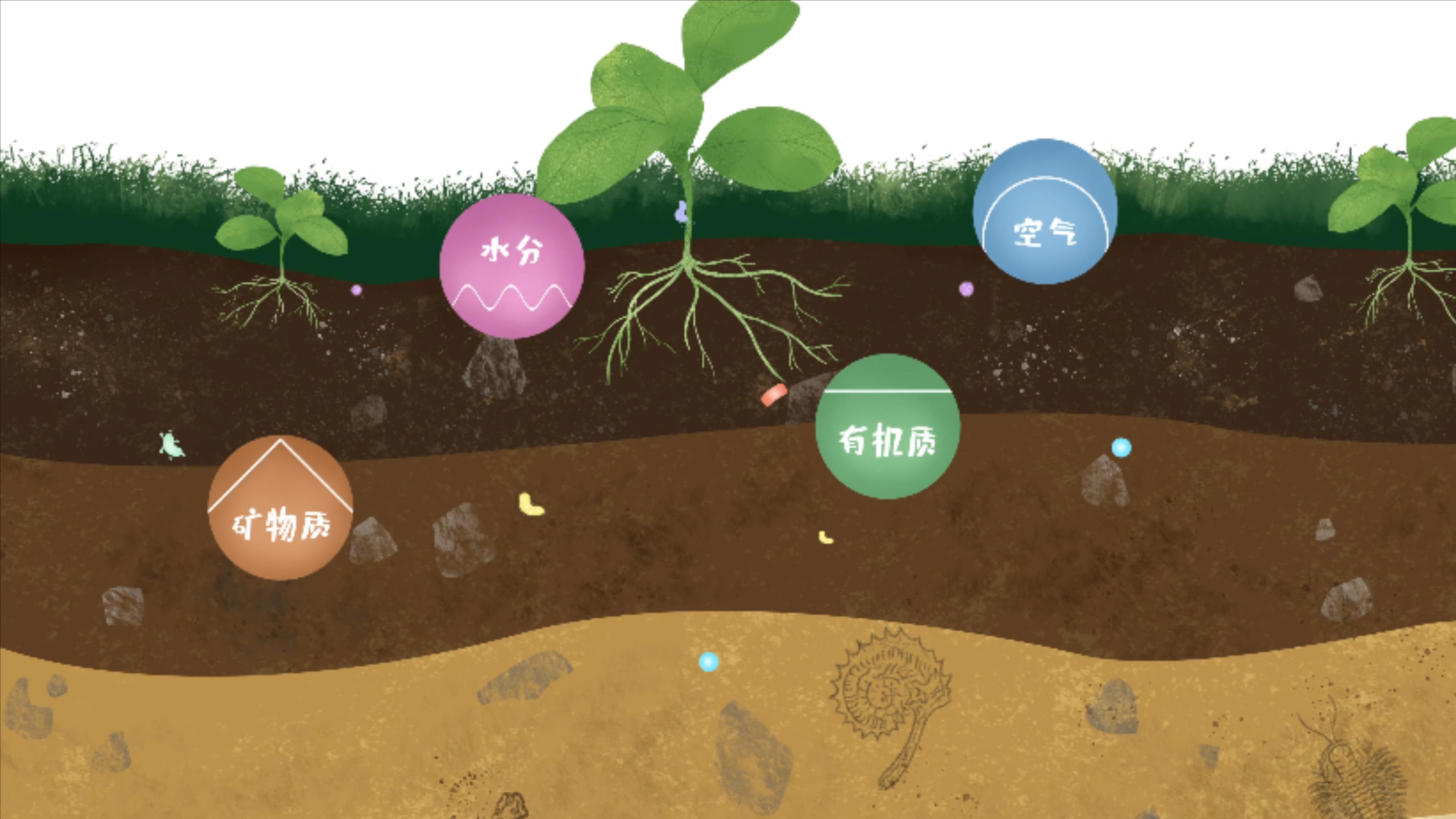 土壤由礦物質(zhì)、有機質(zhì)、水分、空氣及包括微生物在內(nèi)的生物體等組成