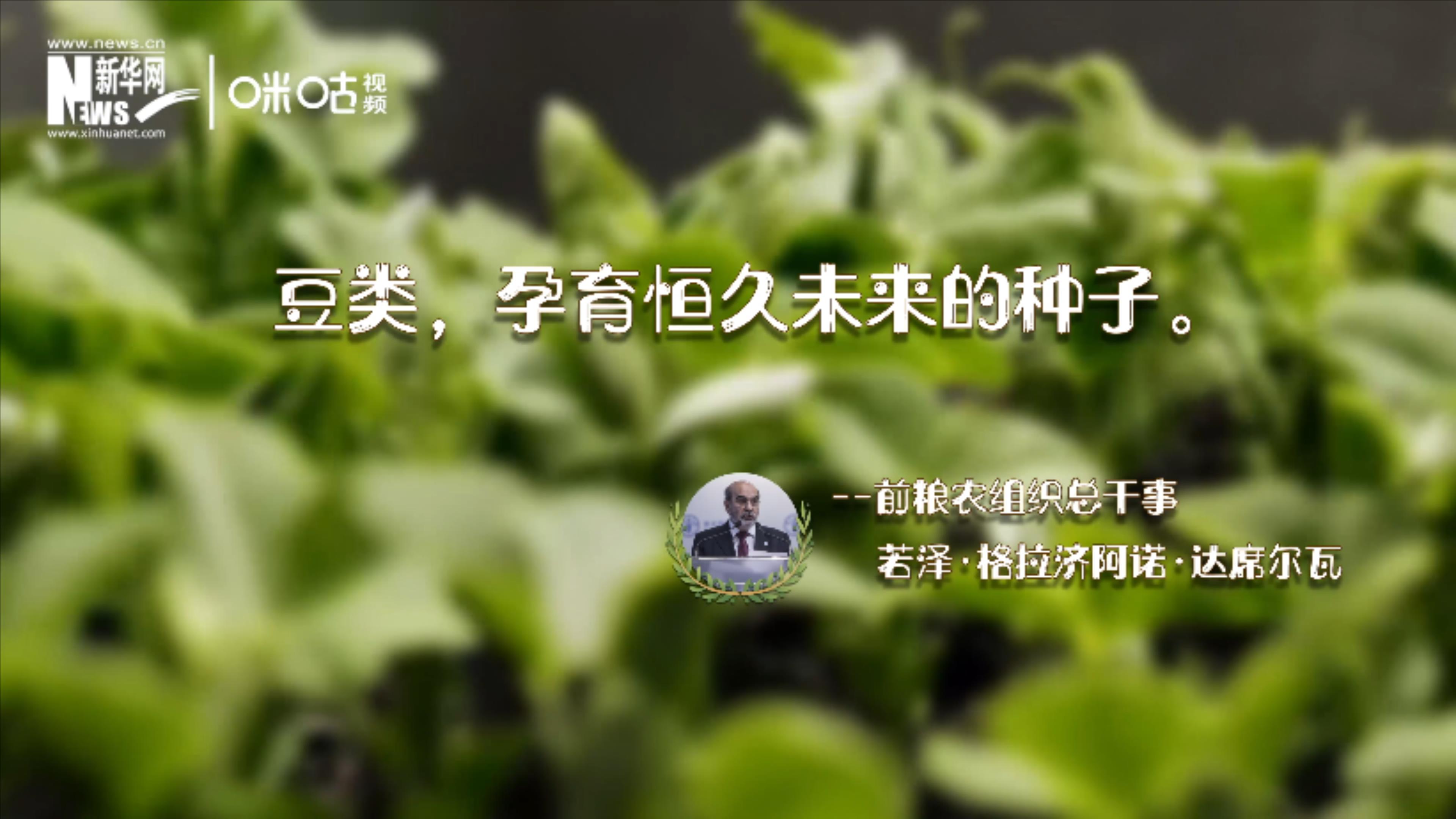 豆類(lèi)，孕育恒久未來(lái)的種子