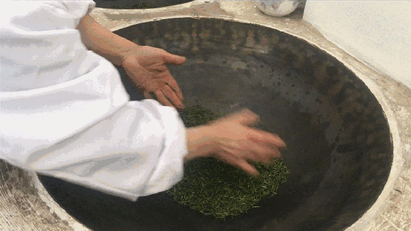 申遺，把雨花茶手藝傳承下去