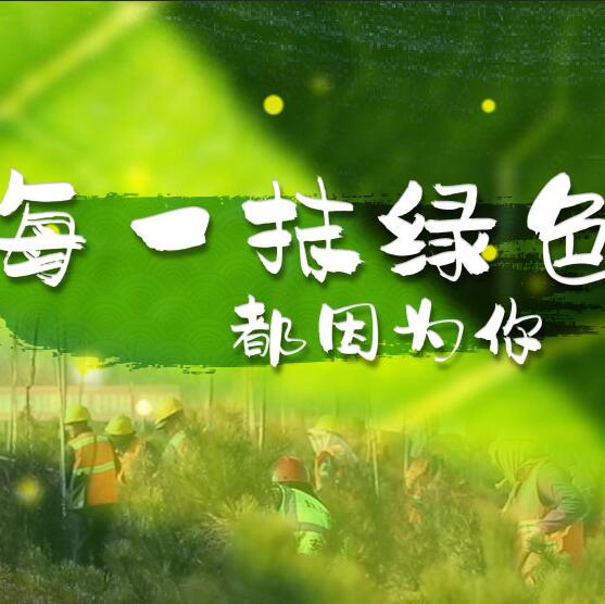 千年秀林，每一抹綠色都因?yàn)槟? /></a>       
<div   id=
