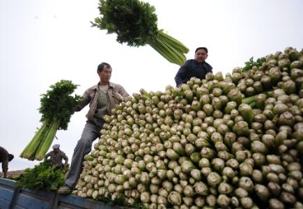 劉永富：發(fā)展產業(yè)脫貧仍是精準扶貧、精準脫貧主攻方向