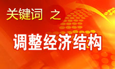 張平：轉變經(jīng)濟發(fā)展方式最重要的是要調(diào)整經(jīng)濟結構