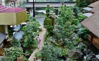 震撼！日本最豪華的廁所（組圖）
