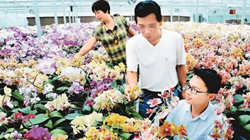 臺商眼中的改革開放：風景這邊獨好 要去，要去，要去！