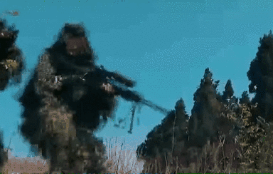 突入，擊斃！直擊武警特戰(zhàn)反劫持演練！