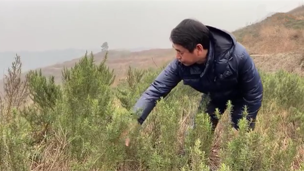 新春走基層｜脫貧后，駐村扶貧隊長在干啥？