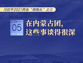 習(xí)近平2021兩會“微鏡頭”之三 3月5日 在內(nèi)蒙古團，這些事談得很深