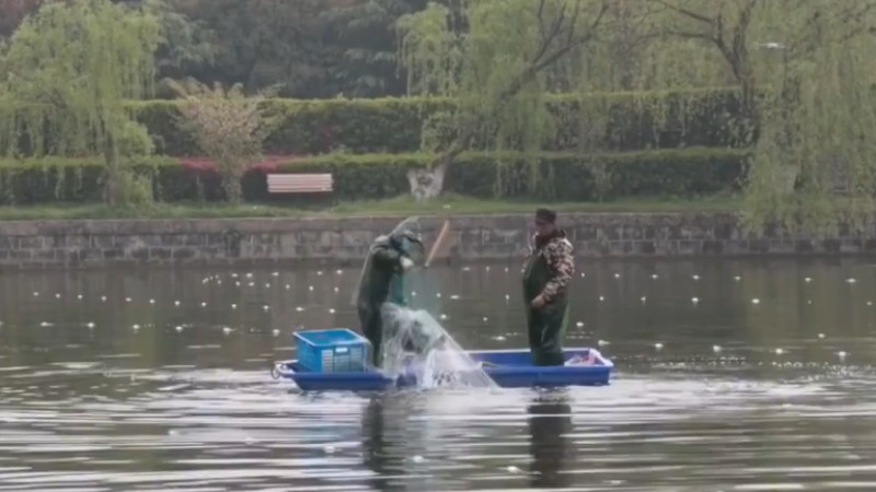 別人家的學(xué)校！安師大請(qǐng)師生吃一萬(wàn)斤魚(yú)