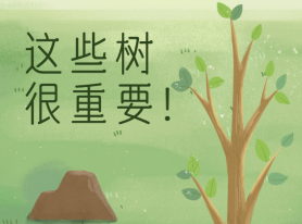 這些樹很重要！