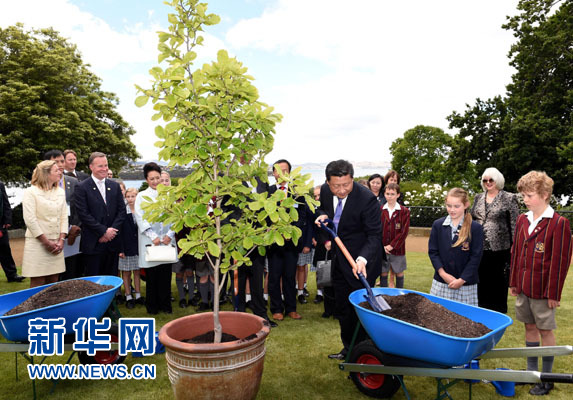11月18日，國家主席習(xí)近平在澳大利亞塔斯馬尼亞州與朗塞斯頓市斯科奇－歐克伯恩小學(xué)的小學(xué)生共同植樹。新華社記者 饒愛民 攝