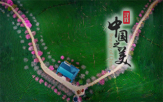 江山如畫，想把春的故事講給你聽